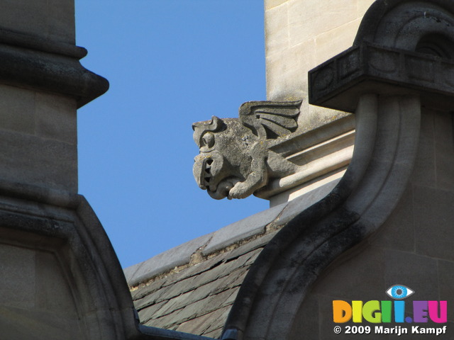 SX07863 Dragon gargoyle Oxford building